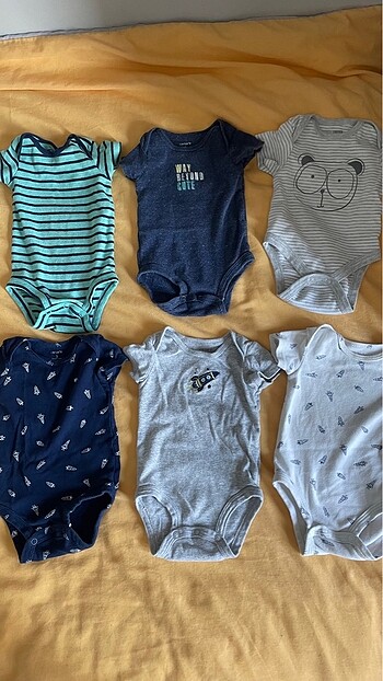Carters zıbın