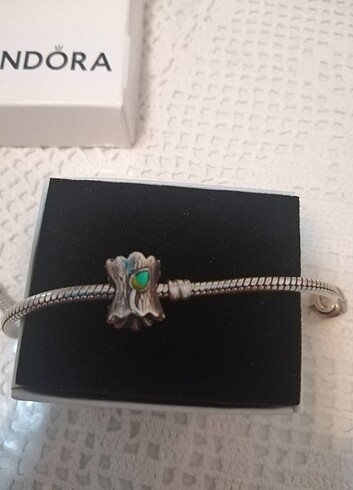 Pandora Pandora charm