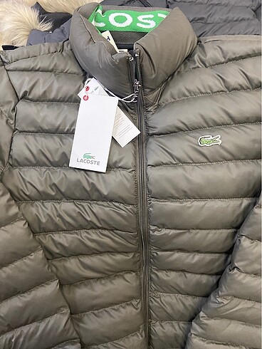 Lacoste mont