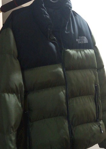 The North Face Yeşil Erkek Mont