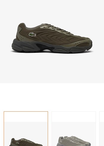 Lacoste Haki Sneaker