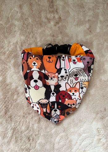 Beden Renkli Köpek Tasması Boyunluğu ve Bandana