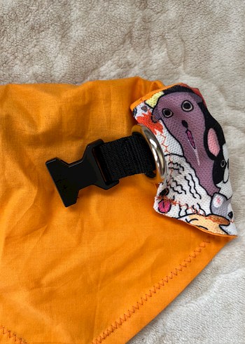 Renkli Köpek Tasması Boyunluğu ve Bandana