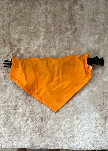 Beden Renk Renkli Köpek Tasması Boyunluğu ve Bandana