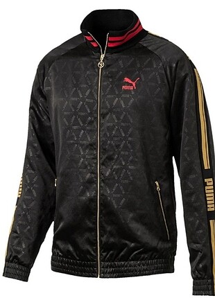 Puma Mont