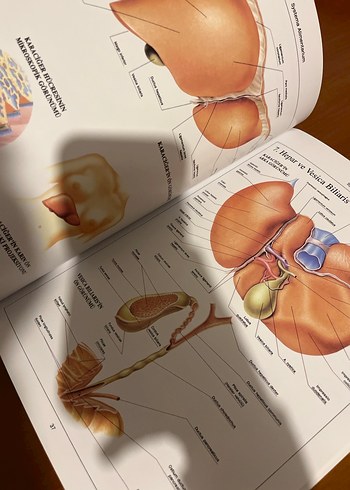 Anatomi Atlası - Görsel 5