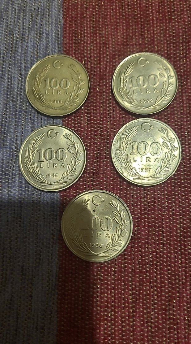 1984-85-86-87-88 100 Lira Lotu - Görsel 2