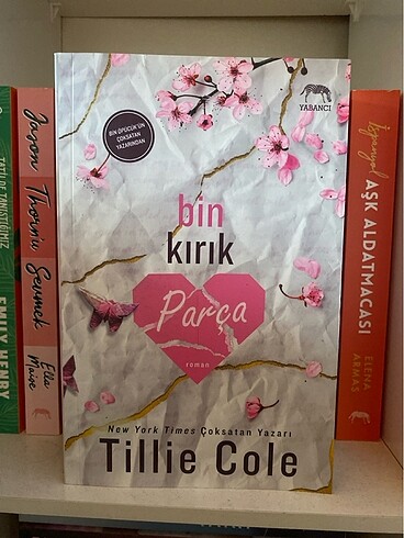 Bin kırık parça