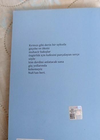 Duvara Yazılmış Islıklar - Nurgül Kumbaroğlu