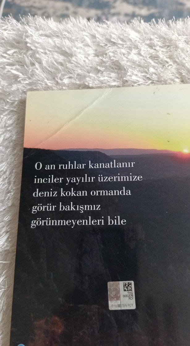 Yakın Dağ - İdil Berf - Görsel 2