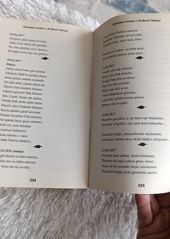 Gönülden Fısıltılar - Ali Murat Tekkaya - Görsel 4