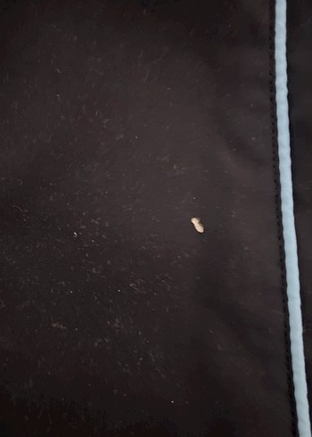 Adidas Siyah Fermuarlı  Eşofman Altı - Görsel 2