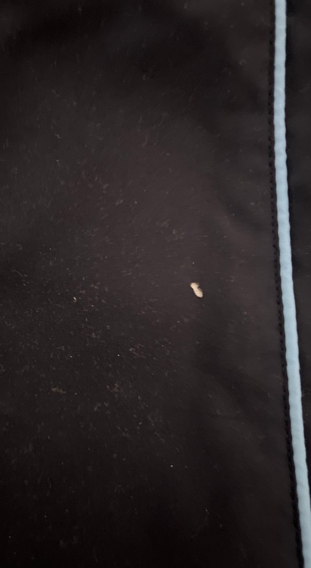 Adidas Siyah Fermuarlı  Eşofman Altı - Görsel 2