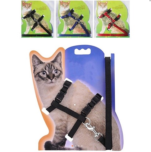Kedi Tasması