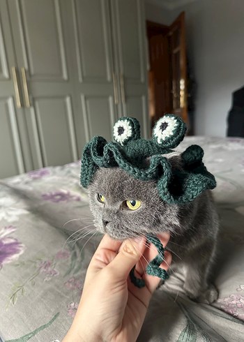 Örgü  kedi Şapkası - Görsel 3