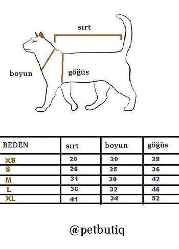 Kedi köpek kıyafeti