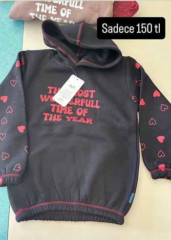 Erkek Çocuk Dino Baskılı Gri Sweatshirt - Görsel 4