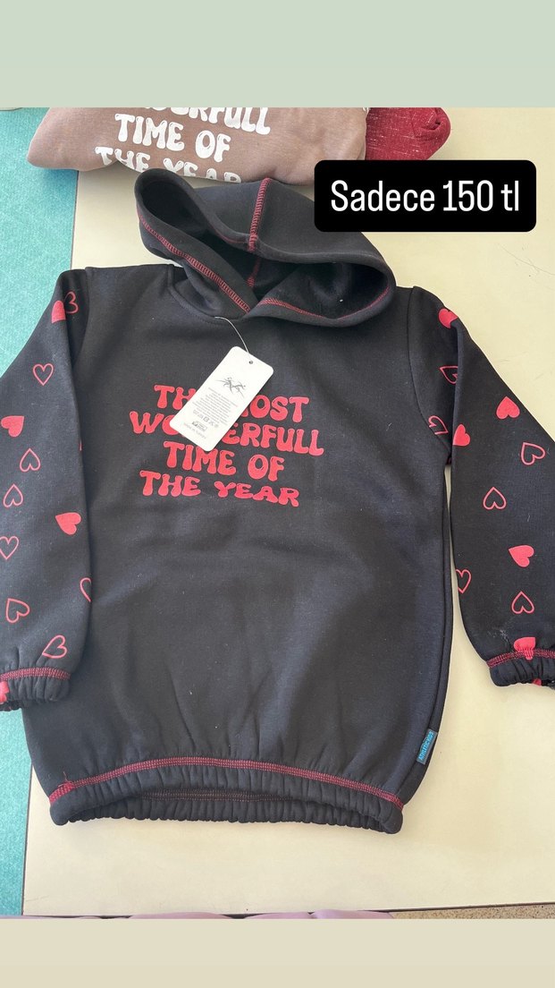 Erkek Çocuk Dino Baskılı Gri Sweatshirt - Görsel 4