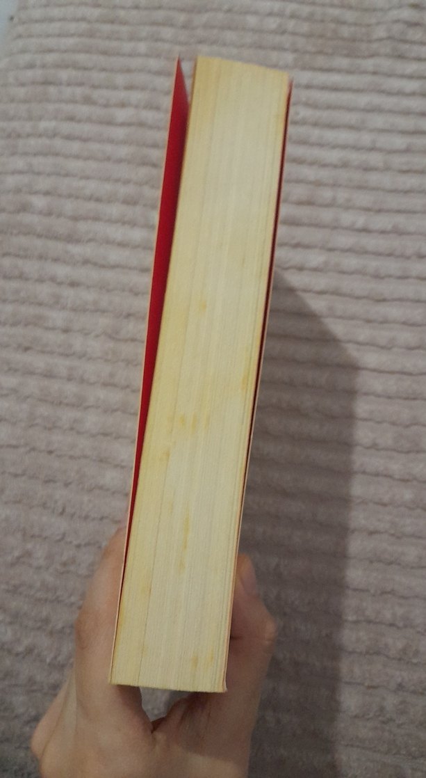 yılmaz özdil mustafa kemal kitabı - Görsel 5