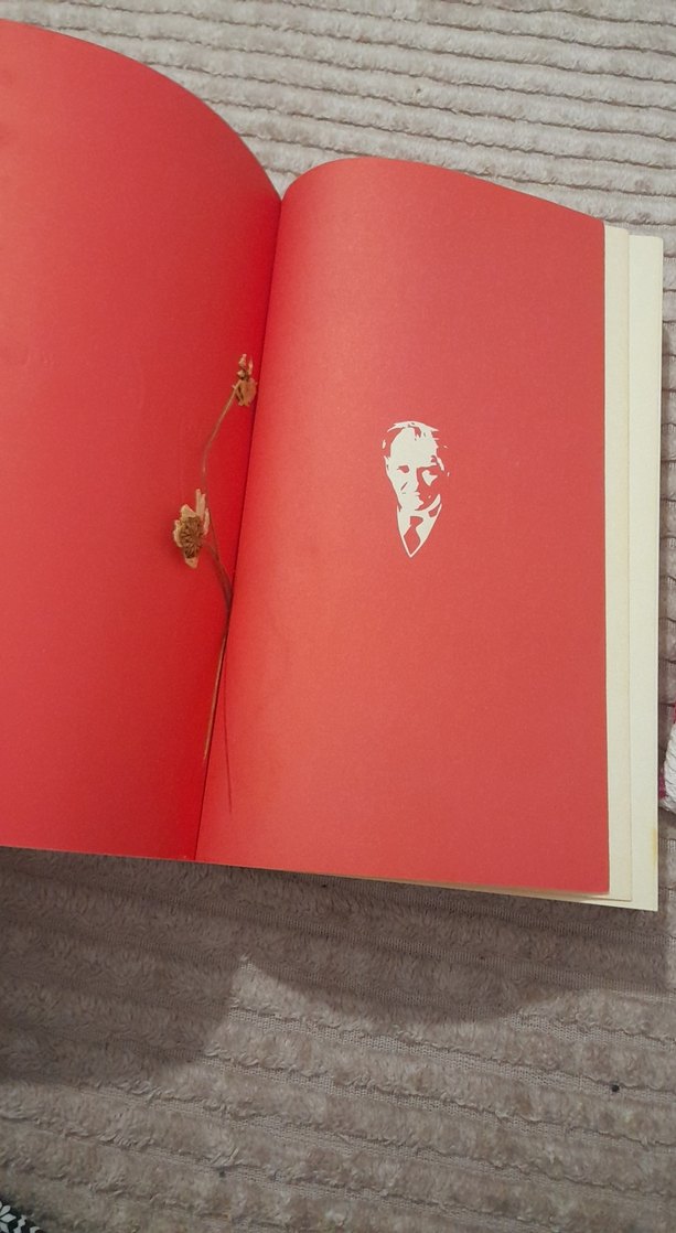 yılmaz özdil mustafa kemal kitabı - Görsel 4