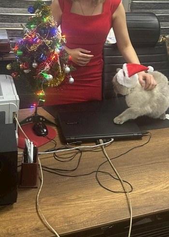 Kırmızı V Yaka Kadın Elbise - Görsel 5