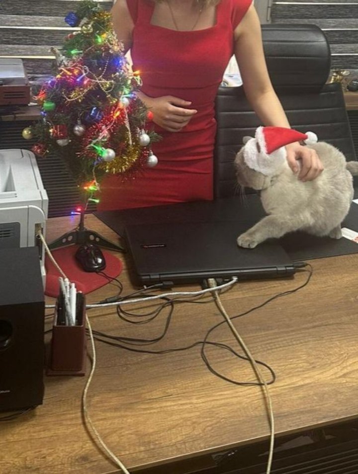 Kırmızı V Yaka Kadın Elbise - Görsel 5