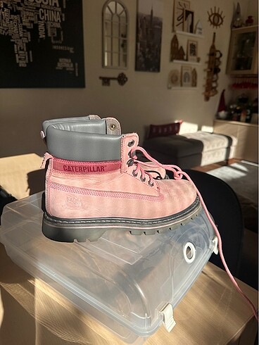 Cat Pembe Bot