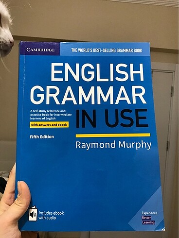 English Grammar In Use
