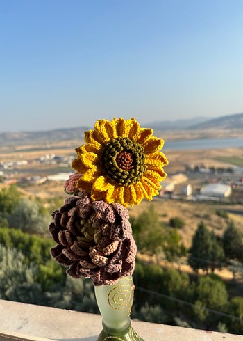  Beden Örgü ayçiçeği