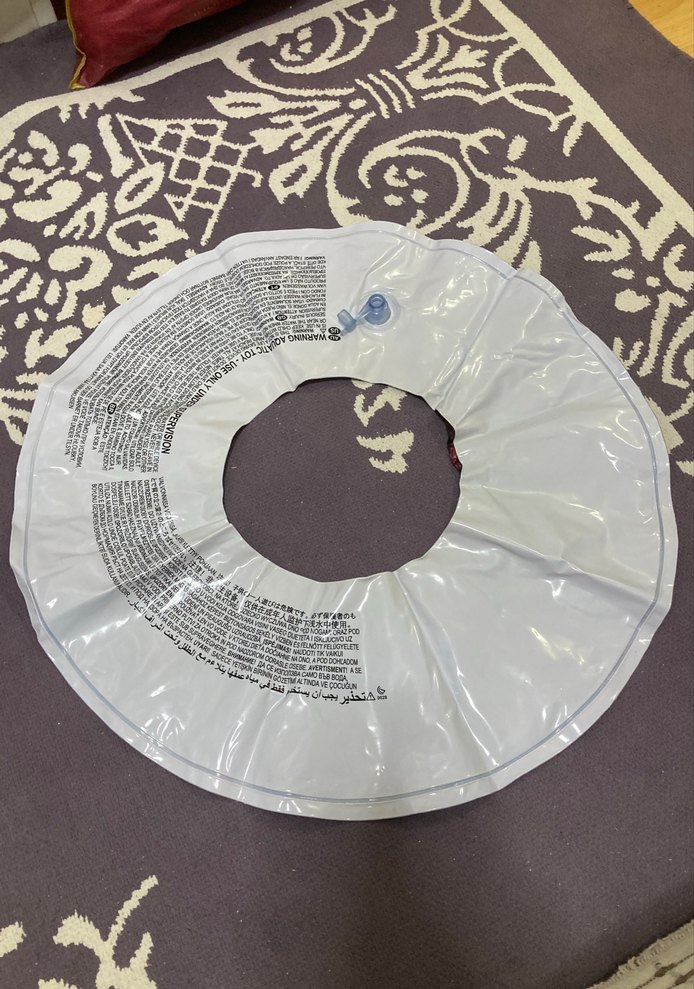 Kız Çocuk Frozen Baskılı Yüzme Simiti - Görsel 2