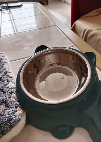 Pastel Yeşil Kedi Köpek Mama ve Su Kabı - Görsel 3