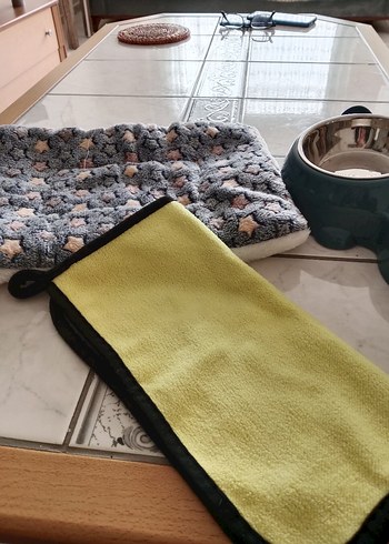 Pastel Yeşil Kedi Köpek Mama ve Su Kabı - Görsel 2