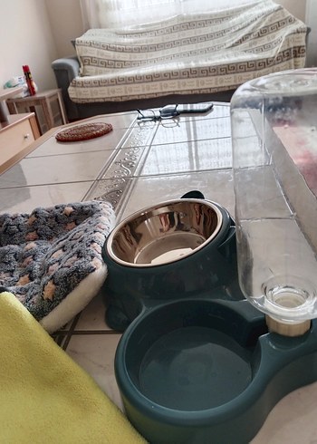 Pastel Yeşil Kedi Köpek Mama ve Su Kabı - Görsel 4