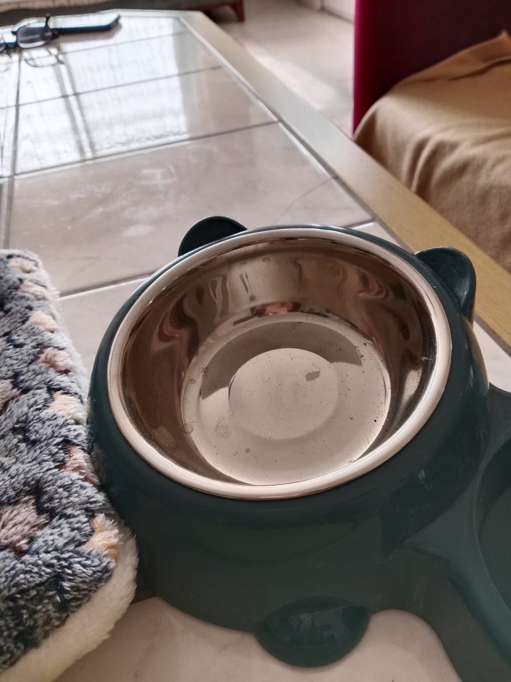 Pastel Yeşil Kedi Köpek Mama ve Su Kabı - Görsel 3