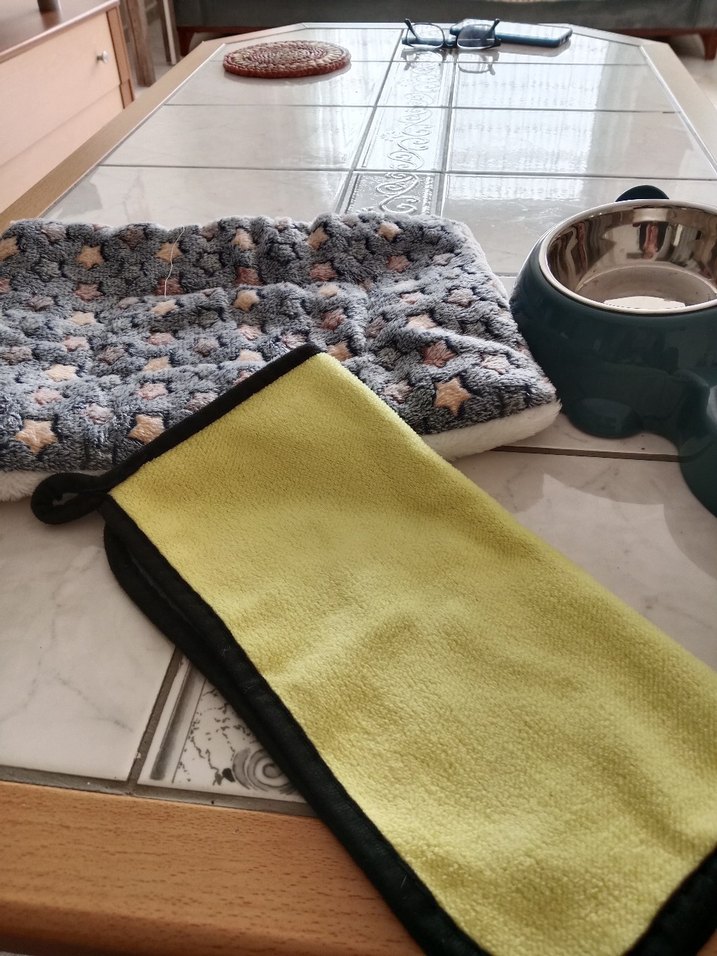 Pastel Yeşil Kedi Köpek Mama ve Su Kabı - Görsel 2