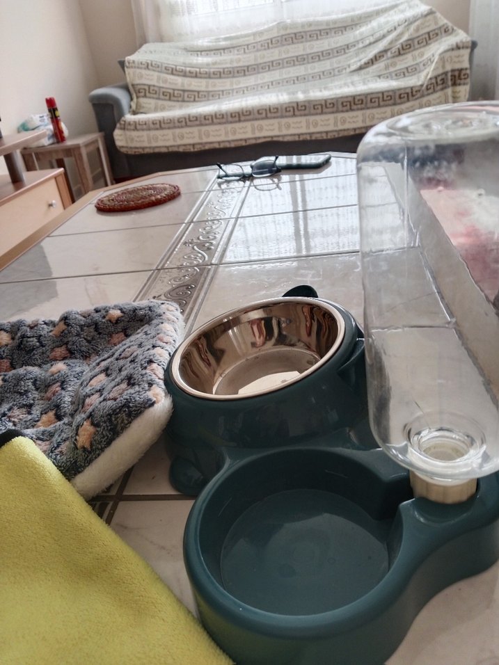 Pastel Yeşil Kedi Köpek Mama ve Su Kabı - Görsel 4