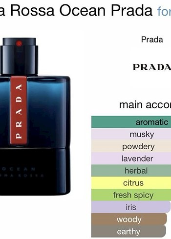 Prada Ocean Erkek Parfüm - Görsel 2