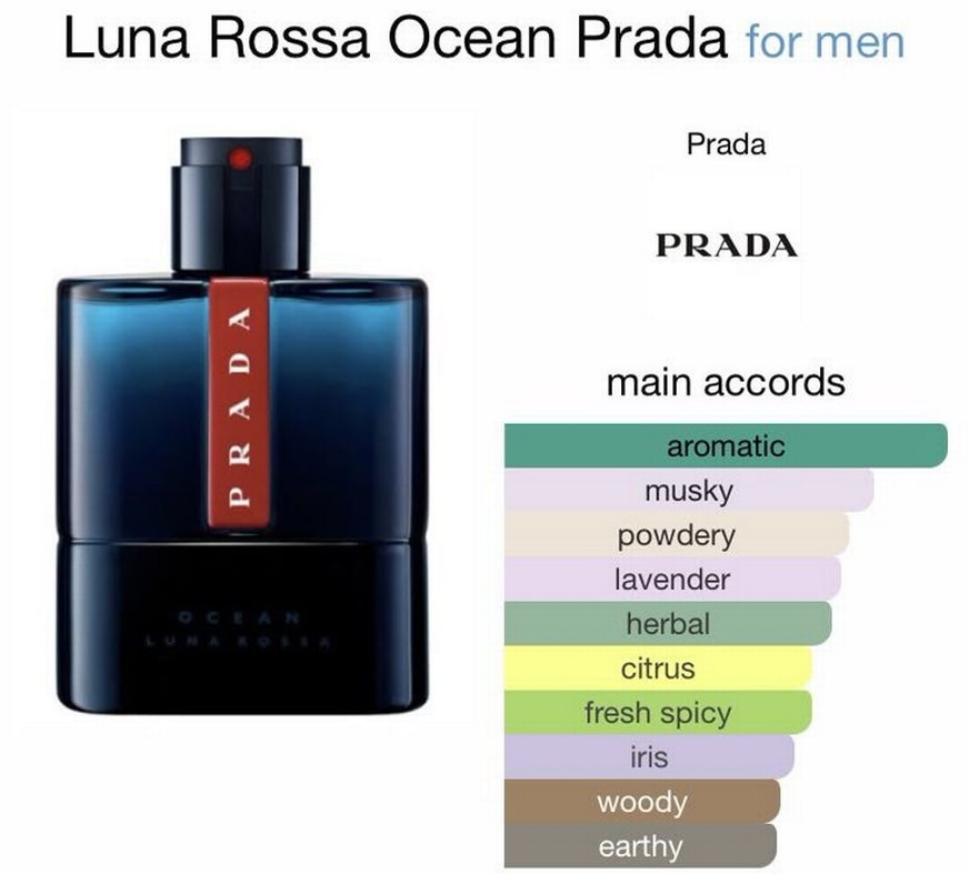 Prada Ocean Erkek Parfüm - Görsel 2