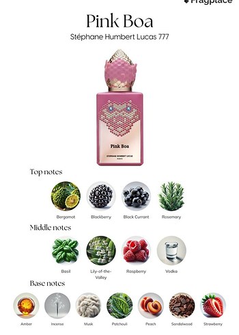 Stephane Humbert Lucas Pink Boa - Görsel 2