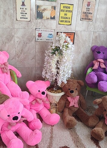  Beden Peluş ayıcık
