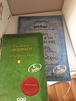 Harry Potter Yan kitapları