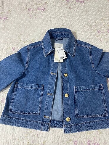 H&M KOT CEKET
