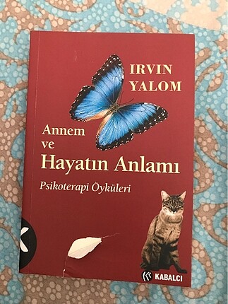 Annem ve Hayatın Anlamı
