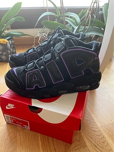 Nike Air Uptempo action grape