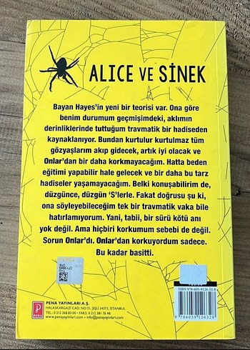 Alice ve Sinek - James Rice - Görsel 2