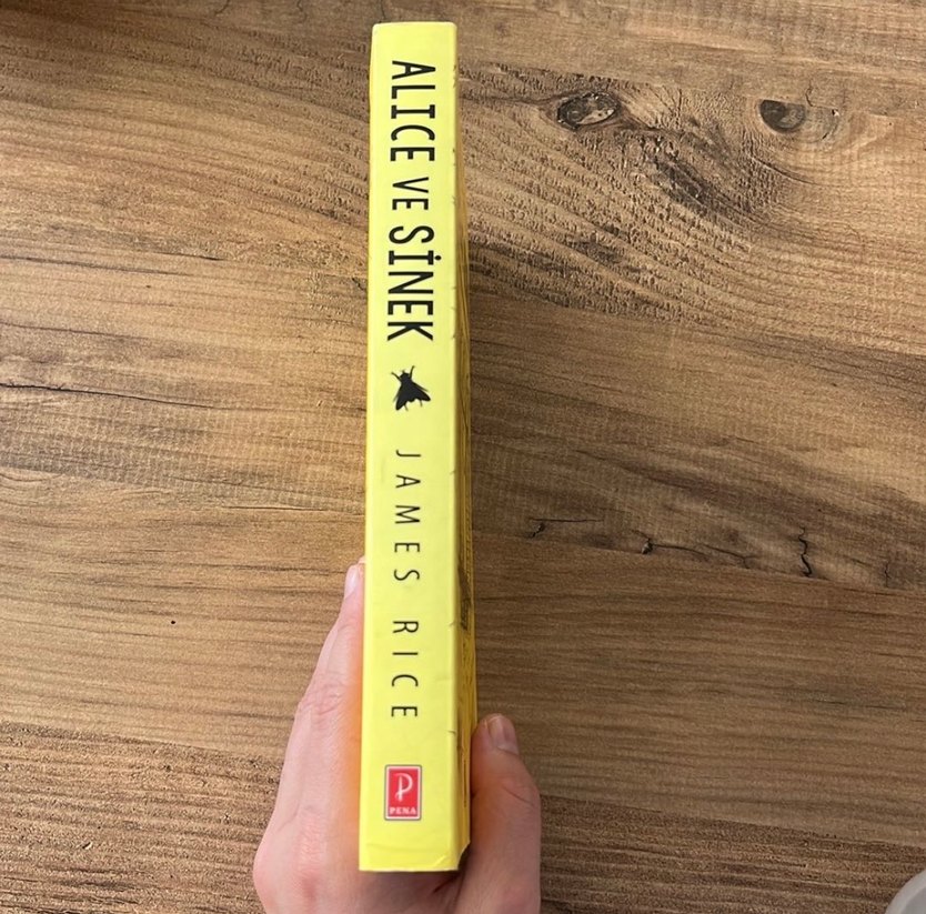 Alice ve Sinek - James Rice - Görsel 3