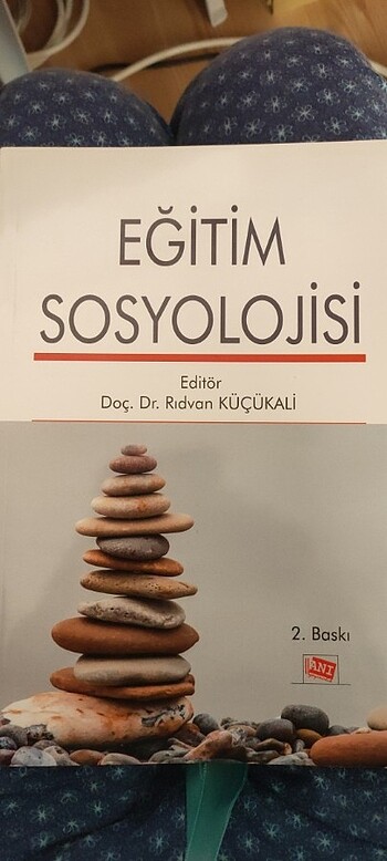 Eğitim sosyolojisi/felsefesi