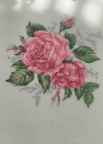 Pastel Beyaz Gül Desenli Tabak - Görsel 2