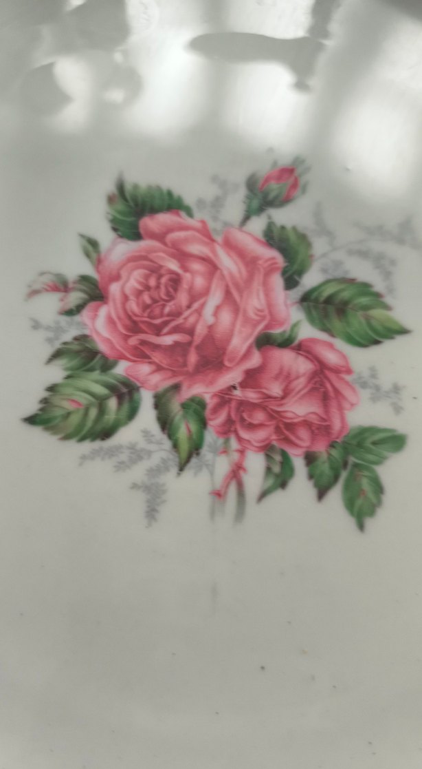 Pastel Beyaz Gül Desenli Tabak - Görsel 2