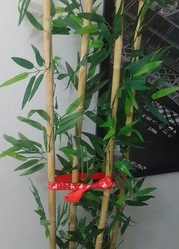 Bambu yapay çiçekler 